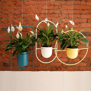 HANGING PLANTERS