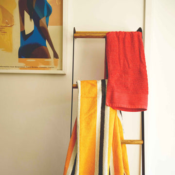 THE TOWEL LADDER